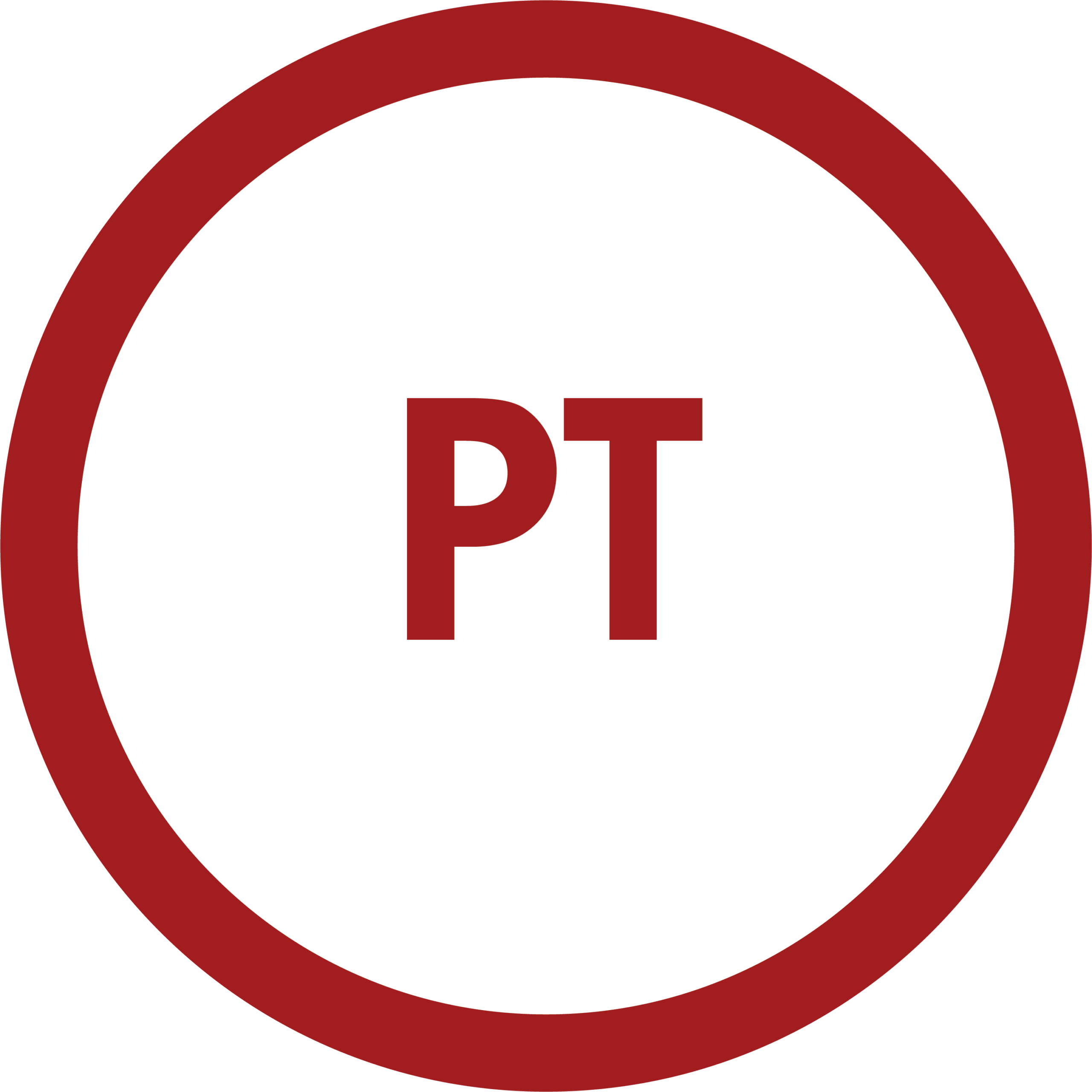 PT PT